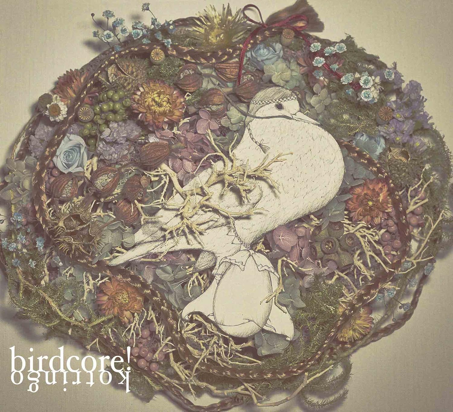 Amazon Birdcore Album Dvd コトリンゴ J Pop 音楽