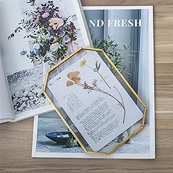 NCYP Small 5 x 7 inch Floating Glass Frame with