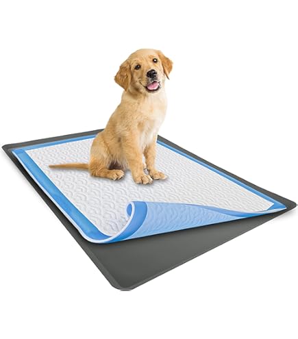 Pee Pad Holder Magnetic Dog Fits 24x24