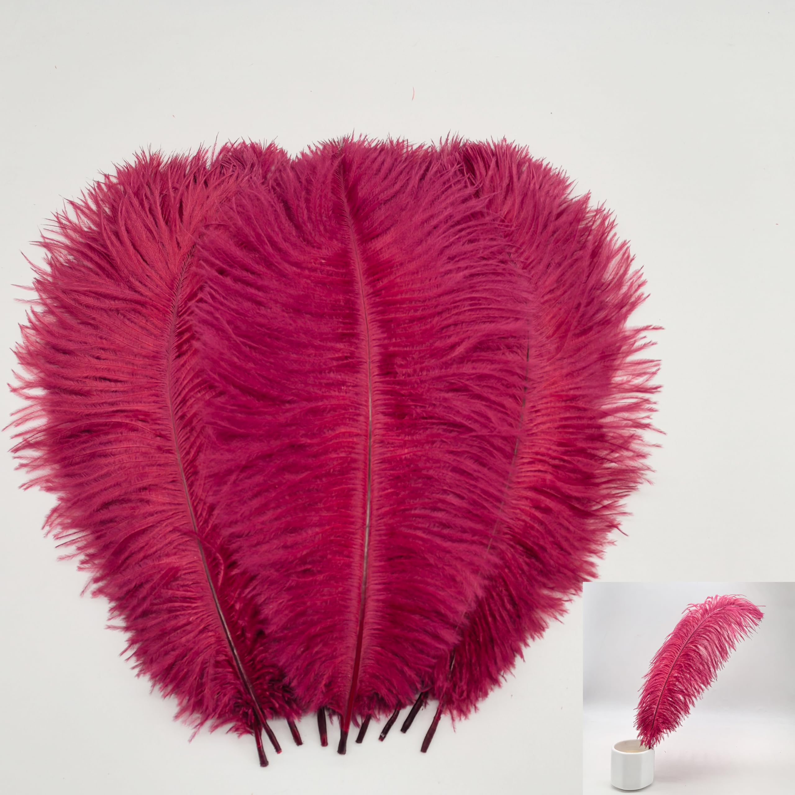 Photo 1 of LONDGEN 10pcs Natural Ostrich Feathers Plumes 14-16inch(35-40cm) for Craft Flower Arrangement Wedding Decoration and Halloween Party (Burgundy)