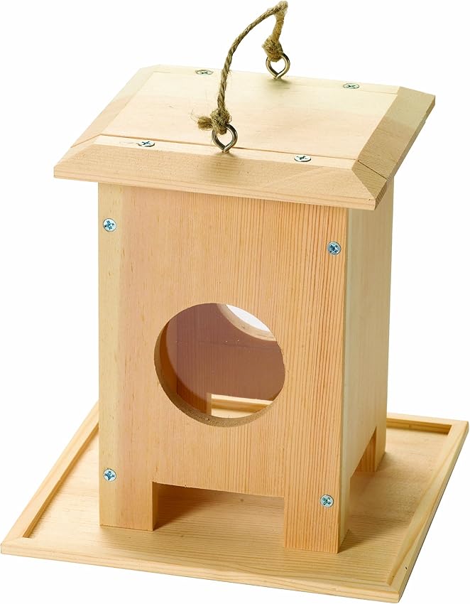 wood building kits for 12 year olds