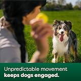 Earth Rated Dog Ball Interactive Fetch Toy Medium Yellow view 4