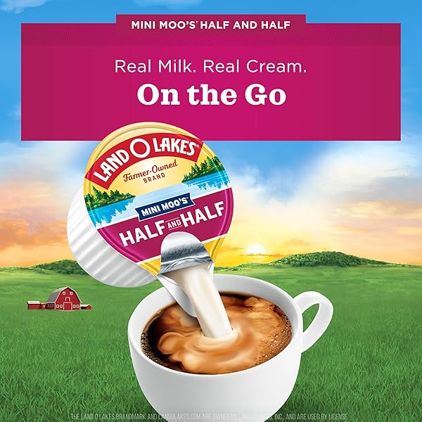 LAND O LAKES HALF AND HALF UHT-PROCESSED CREAMER, 24 COUNT