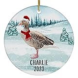 Santa Hat and Scarf Welcome Winter Pink Footed