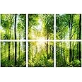 YPY Sound Proofing Panels for Walls Morning Sunrise Forest Green Trees: 6 Pack 72×48 Inches Decorative Art Acoustic Panel Sound Dampening Panels Absorbing Treatment