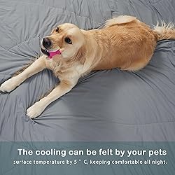 ACCURATEX Cooling Comforter Queen Size,Q-Max > 0.45