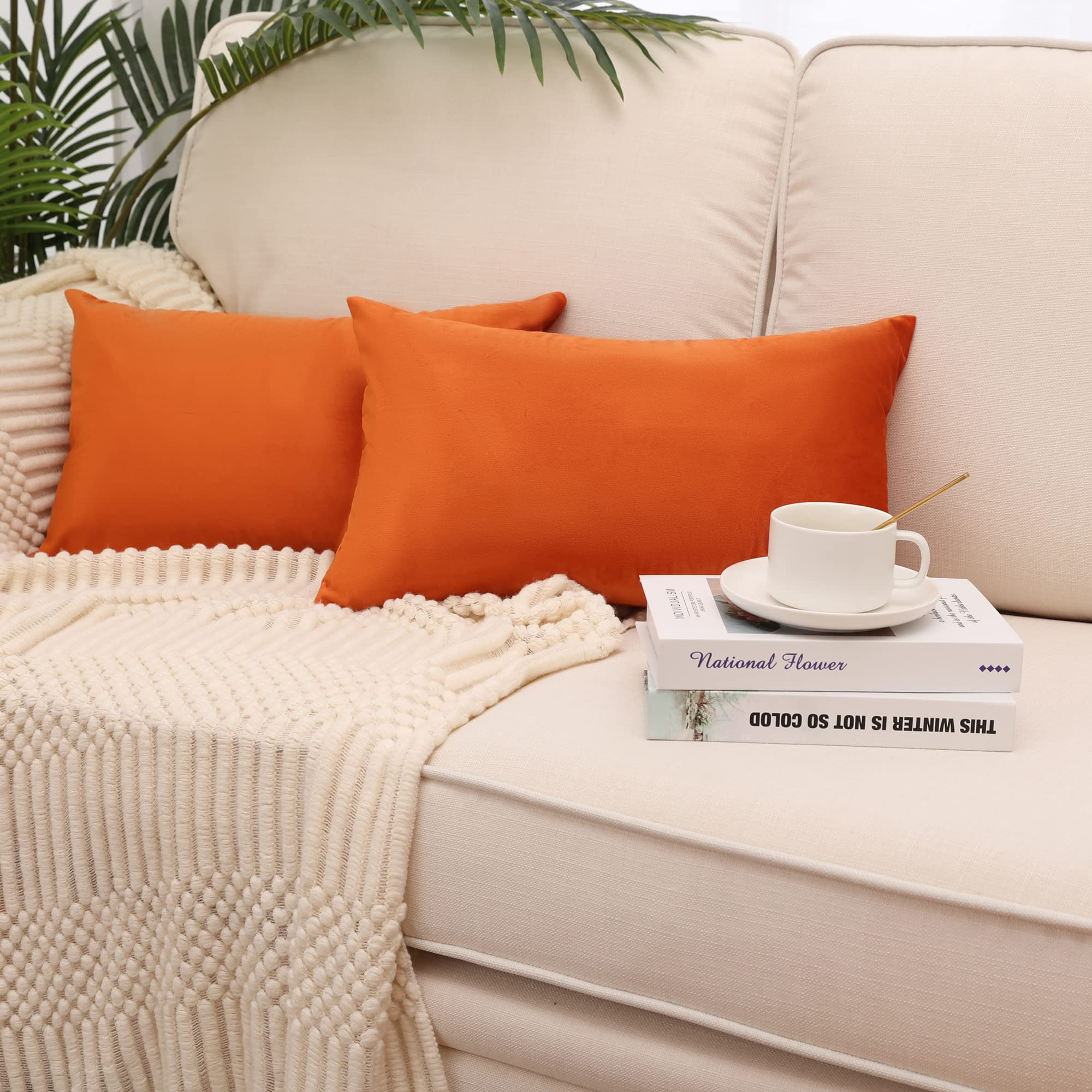 Photo 1 of MZPSO Pack of 2, Velvet Super Soft Solid Decorative Square Throw Pillow Covers Set Cushion Case for Sofa Bedroom Car 12 x 20 Inch 30 x 50 cm, Orange