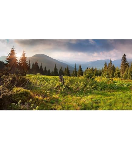 BELECO 10x6.5ft Fabric Snow-Capped Mountains Railroad Track Backdrop