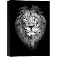 SIGNWIN Canvas Wall Art Headshot of an African Lion Animals Wildlife Photography Modern Art Traditional Portrait Dramatic Black and White for Living Room, Bedroom, Office - 12x18 inches