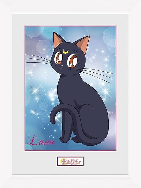 Amazon Co Jp Gb Eye セーラームーン ルナ フレームプリント マルチカラー 30 X 40 Cm パソコン 周辺機器