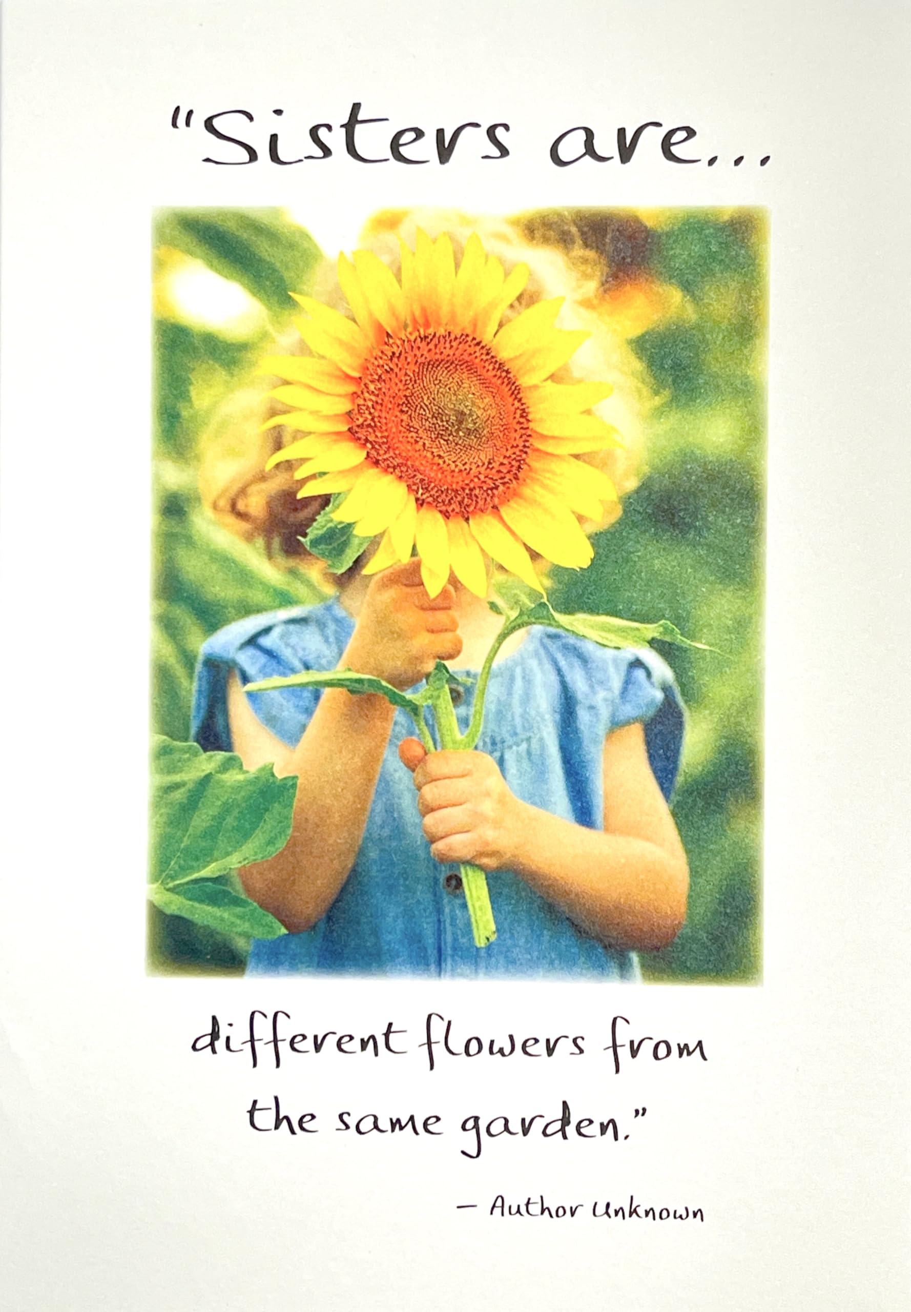 Sisters Are Different Flowers From The Same Garden - Pix & Pagels Heartfelt Sentimental Verses Fold Out Keepsake Greeting Card (Sisters)