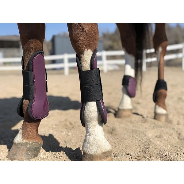 Jeereal Horse Tendon Brushing Boots Open Front & Fetlock Boot | Protective