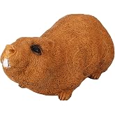 3D Archery Target Groundhog, Animal Shooting Target with Yard Stakes for Backyard Hunting Bow Targeting Practice