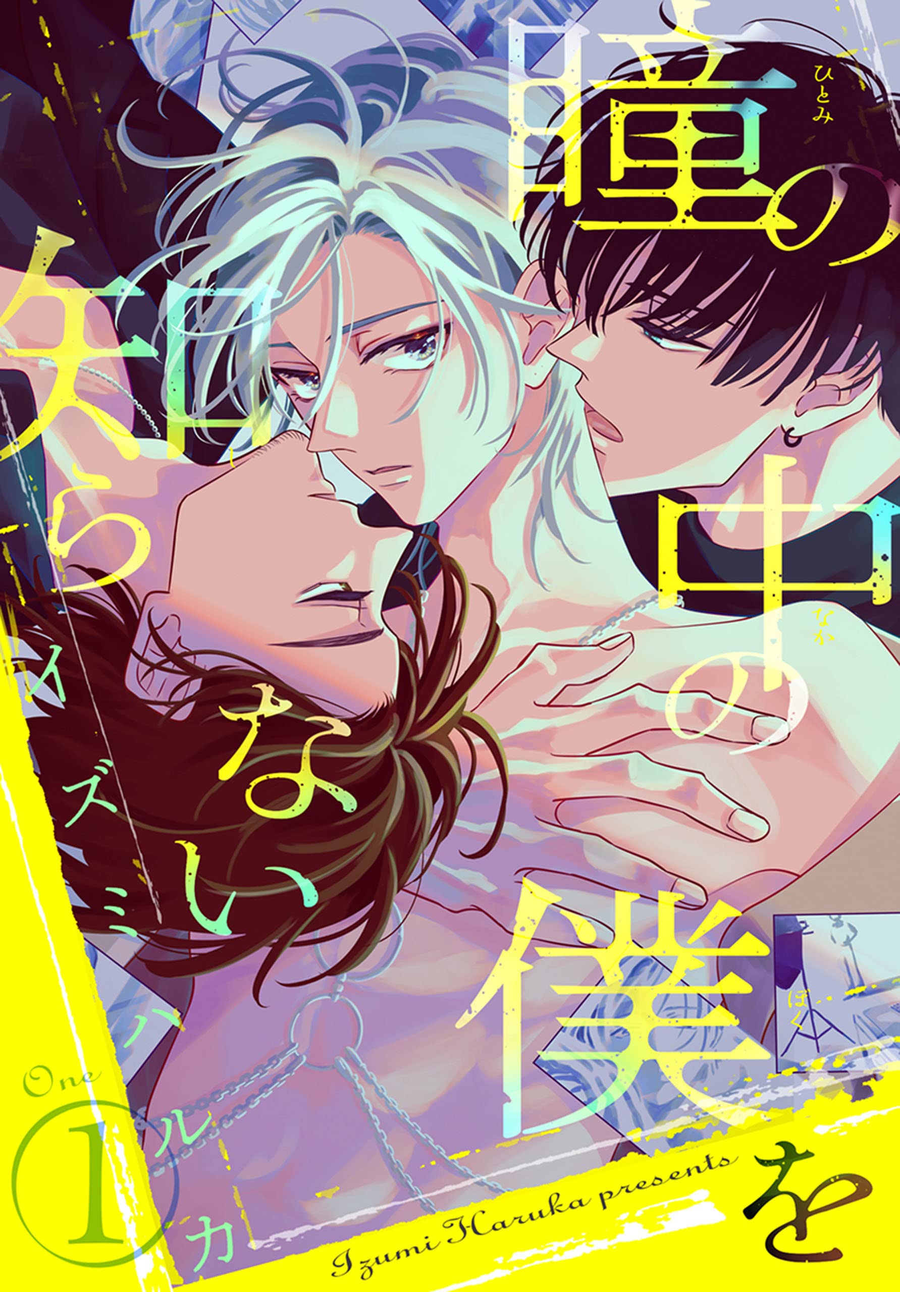瞳の中の僕を知らない 1 (花丸コミックス)