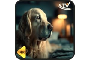 Soothe Mode Mode-Soothing Dog Music for low‑impact Alone Time