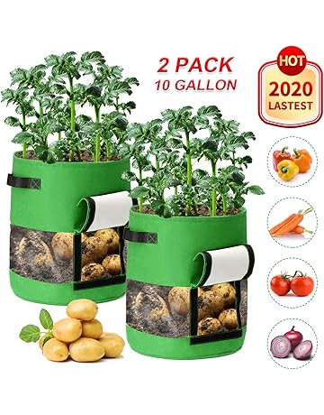 Bolsas para plantas | Amazon.es