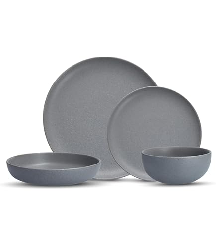 N0706-16★ B&G CORDIAL STONE WARE グレー皿2枚 Amazon.com: Fortessa Sound Stoneware 16 Piece Dinnerware Set