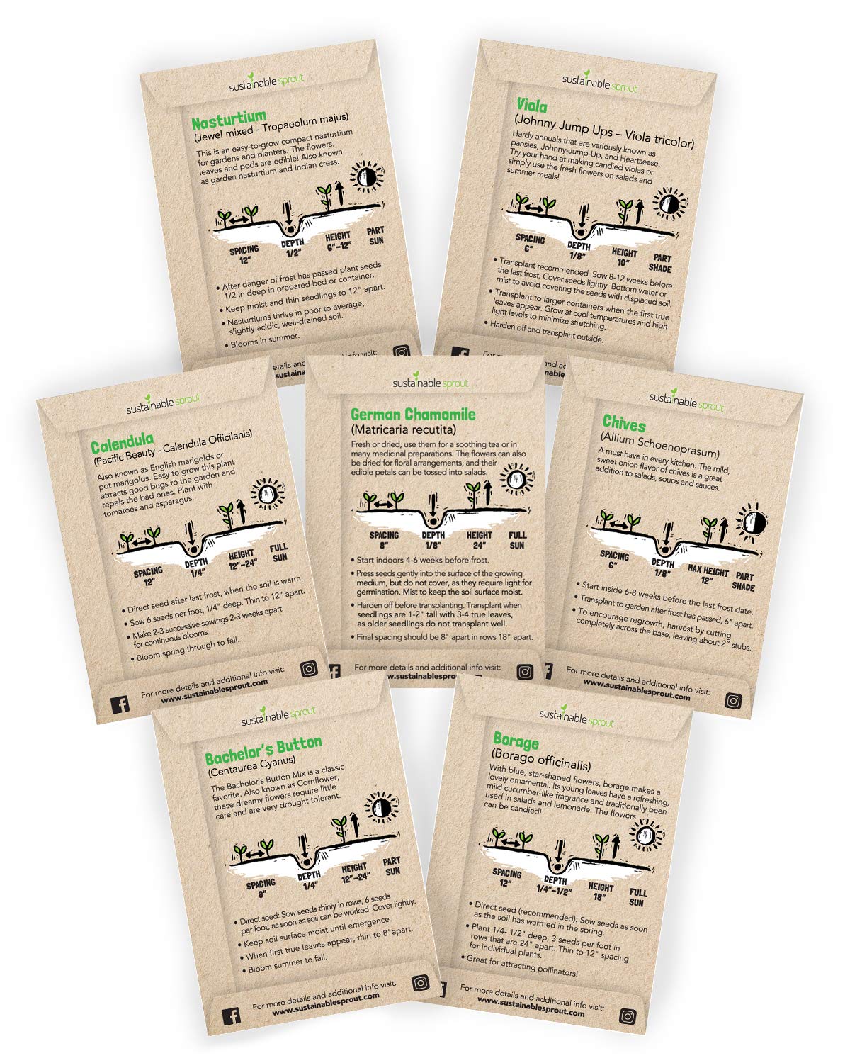 Edible Flower Seeds Variety 7 Pack - Thumbnail 2