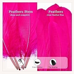FeelfunFeather 120pcs Hot Pink Goose Feathers 6-8