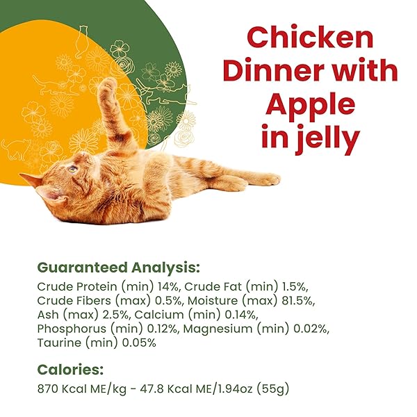 ALMO NATURE HQS COMPLETE CAT WET CAT FOOD CHICKEN DINNER WITH APPLE IN JELLY – GRAIN-FREE CAT POUCH, 1.94 OZ (PACK OF 24)