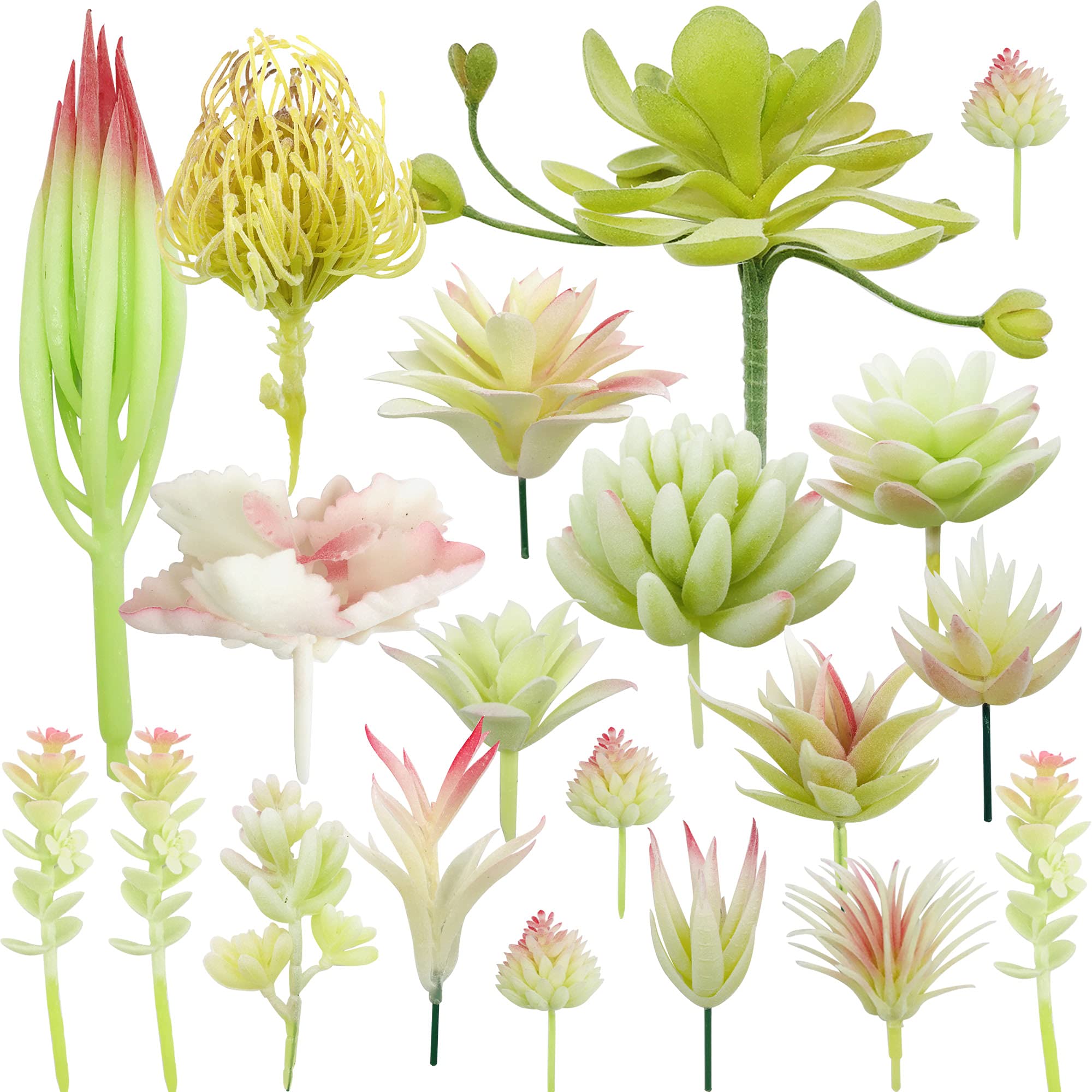 NA Woohome 20 PCS Artificial Succulents Picks Creamy White Artificial Succulent Plants, Mixed Fake Succulent Assortment in Flocked for Indoor and Outdoor Home Decor Floral Arrangements