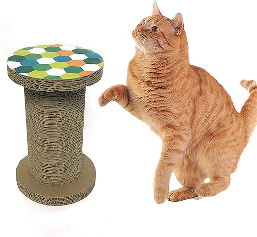 cat scratch toy