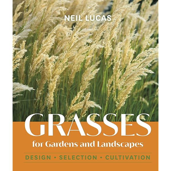 Gardening With Grasses: King, Michael: 9780881924114: Amazon.com