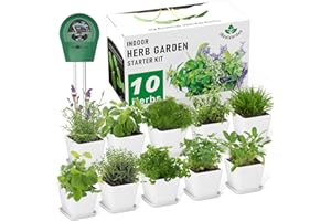 IREALGARDEN Indoor Herb Garden Kit – 10 Non-GMO Herb Seeds with Soil, Pots & Moisture Meter – Easy Windowsill Gardening Starter Set – Unique Gift for Gardeners, Home Chefs & Families