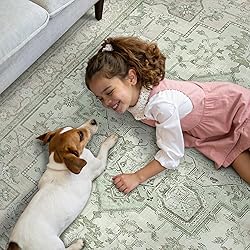 GENIMO 2'6''x12 Runner Rugs for Hallway, Machine