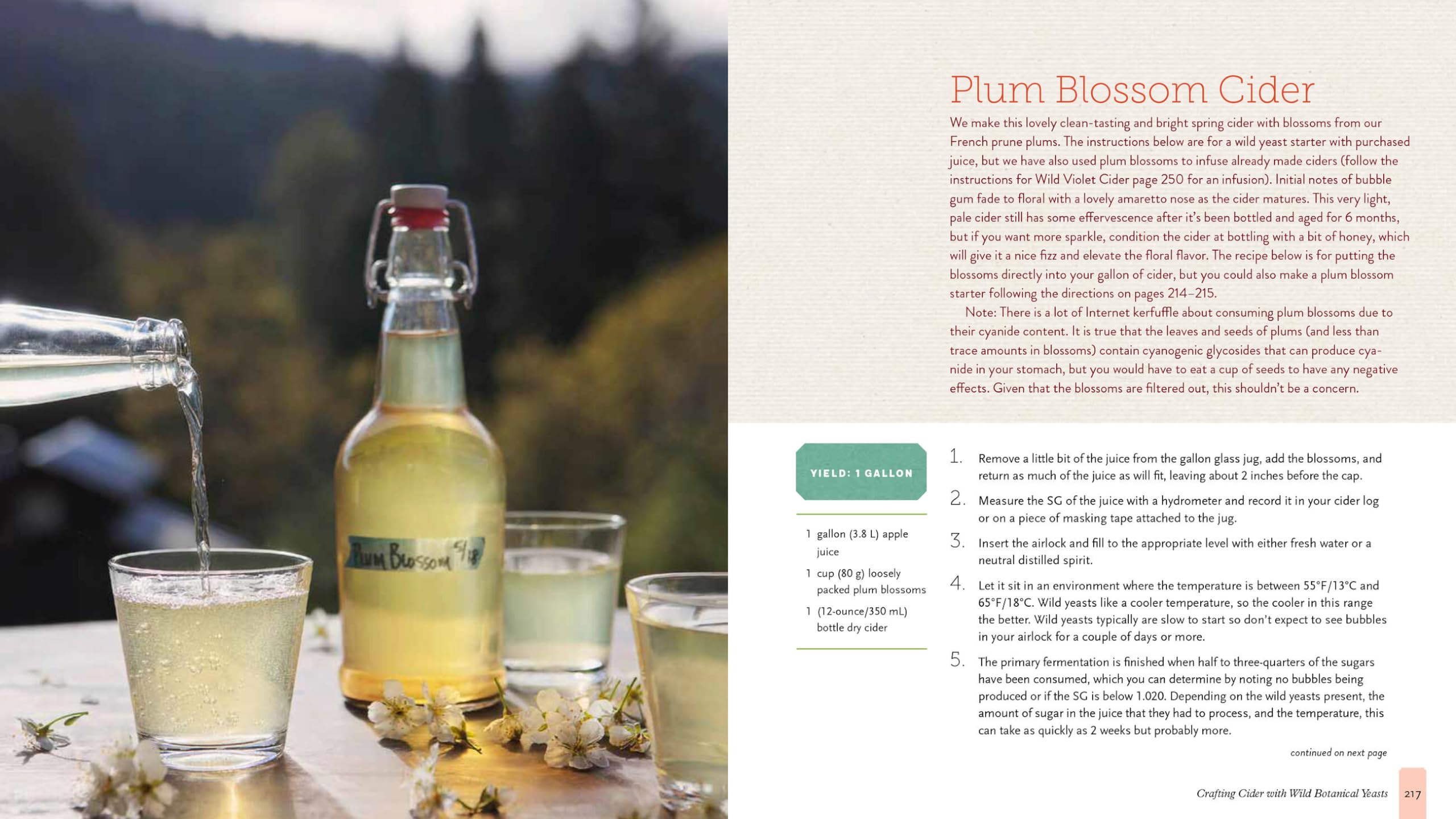 The Big Book of Cidermaking: Expert Techniques for Fermenting and Flavoring Your Favorite Hard Cider