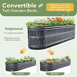 KING BIRD Raised Garden Bed Kit 2025 Upgraded