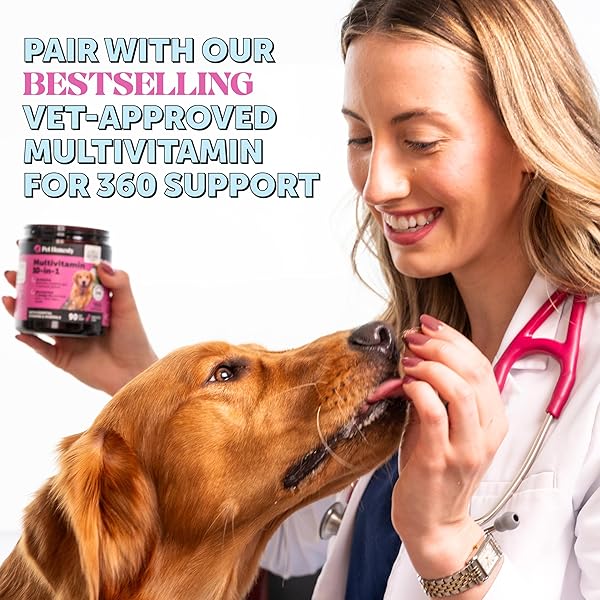 HEMP CALMING FRESH STICKS – DENTAL STICKS FOR DOGS – NATURAL DENTAL CHEWS, CALMING SUPPORT FOR DOGS, REDUCE HYPERACTIVITY AND ANXIETY, FRESHEN DOG BREATH, REDUCE PLAQUE + TARTAR – (30 CT)