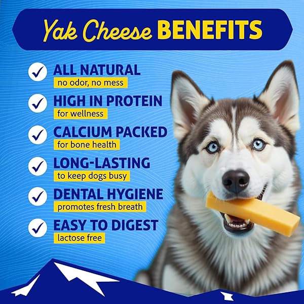 HIMALAYAN DOG CHEW ORIGINAL YAK CHEESE CHEW, PEANUT BUTTER, 1 LARGE STICK, 3.3 OZ, GLUTEN FREE, HEALTHY TREATS, GRAIN & LACTOSE FREE 100% NATURAL, LONG LASTING CHEWS FOR S UNDER 55 LBS
