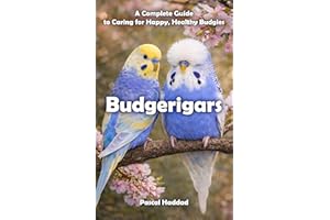 Budgerigars: A Complete Guide to Caring for Happy, Healthy Budgies