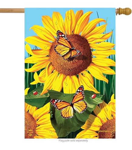 邦楽 Sunflower's Garden - Believe in tomorrow 邦楽 Sunflower's Garden - Believe in tomorrow Amazon.co.jp