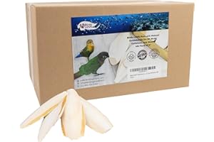 Birds LOVE Natural Cuttlebone – Premium Calcium for Cockatiel, Parrots, Tortoise, Snails, Crabs and Chinchillas - Pure Cuttlebone for Birds - Parakeet Food and Bird Treats - 4lb, Size 5.5 to 6"