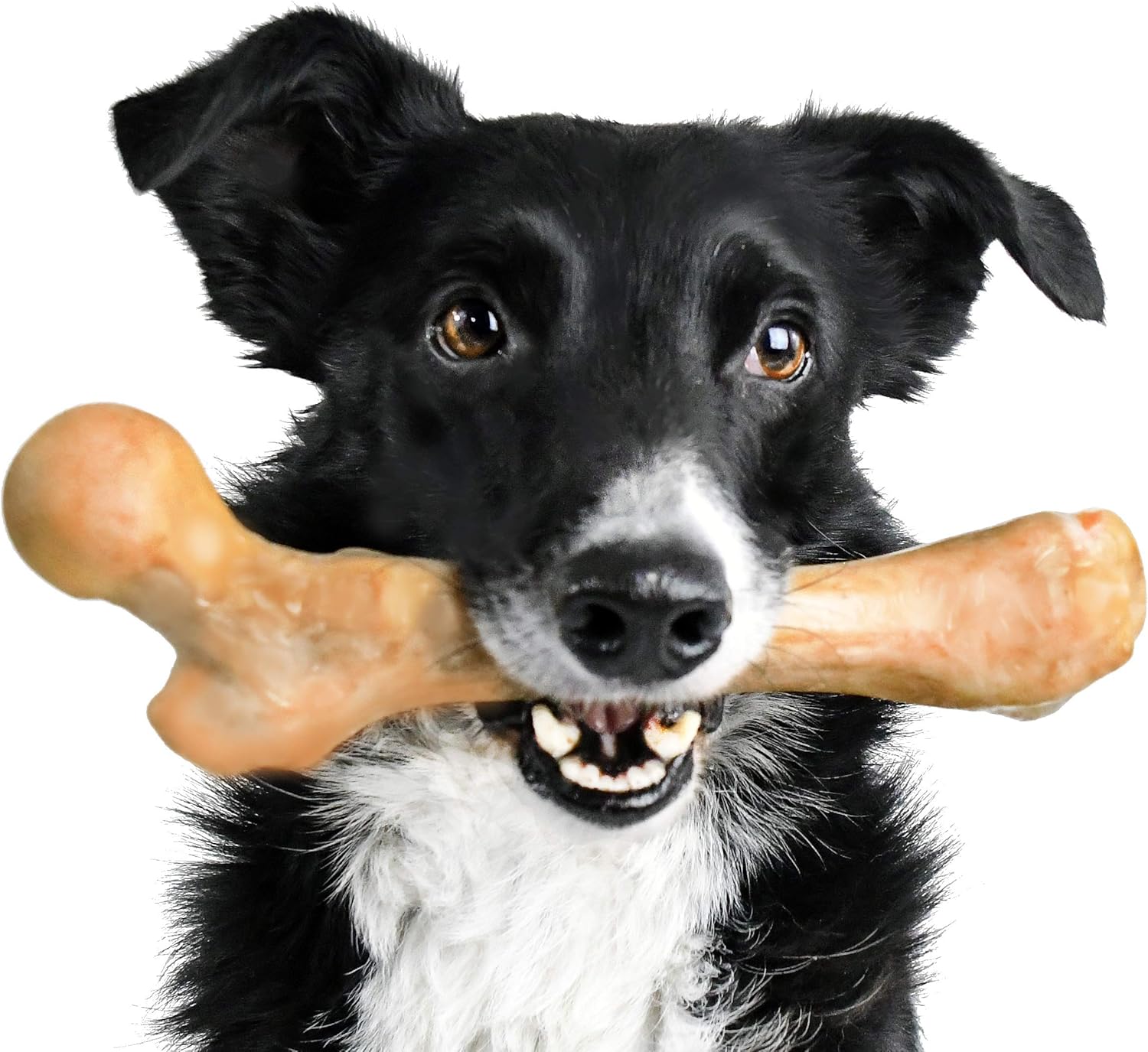 Are Pork Chops Bad For Dogs