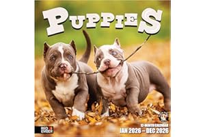 RED EMBER Puppies 2026 Wall Calendar 12 Month | 12" x 24" Open | Thick & Sturdy Paper | Giftable | Calendar 2026