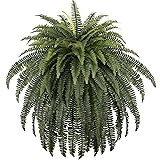 FOREST PRINCE 70" Ferns Artificial Giant Bush
