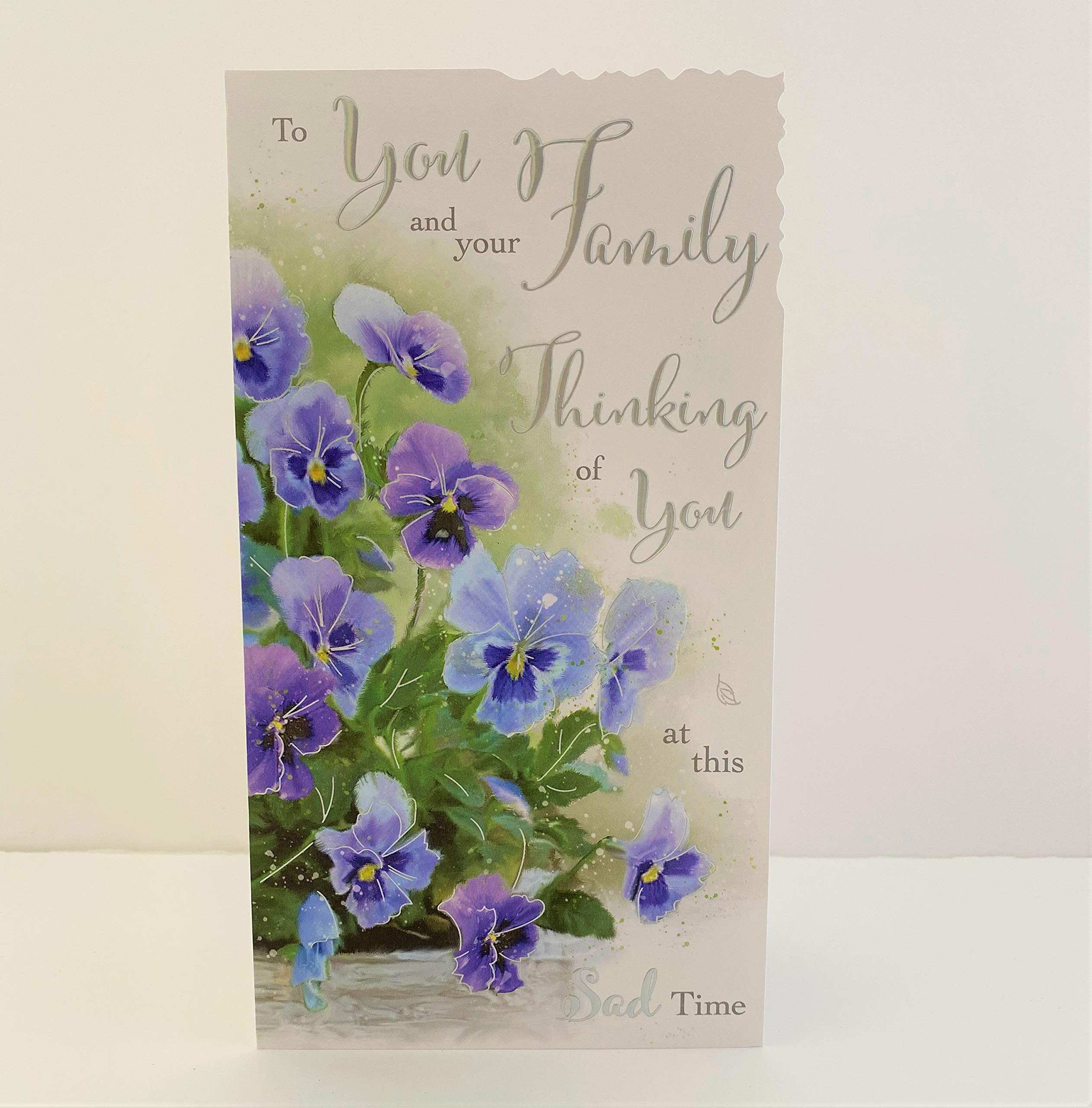 to You and Your Family, Thinking of You at This Sad Time. Sympathy Card by Jonny Javelin
