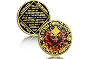 YRCKUDZKG Phoenix 11 Year Sobriety Coin Flame Eleven Year Sobriety Chip NA Chips and Medallion NA Coin Recovery Chip Sobriety Token Sobriety Gifts for Men Women Narcotics Anonymous Gift