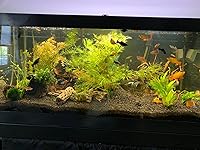 Review Image by Chris B. Garza Chris B. Garza