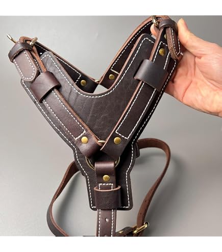 Amazon.com : Bestia Maximus Silver Big Dog Leather Harness … : Pet