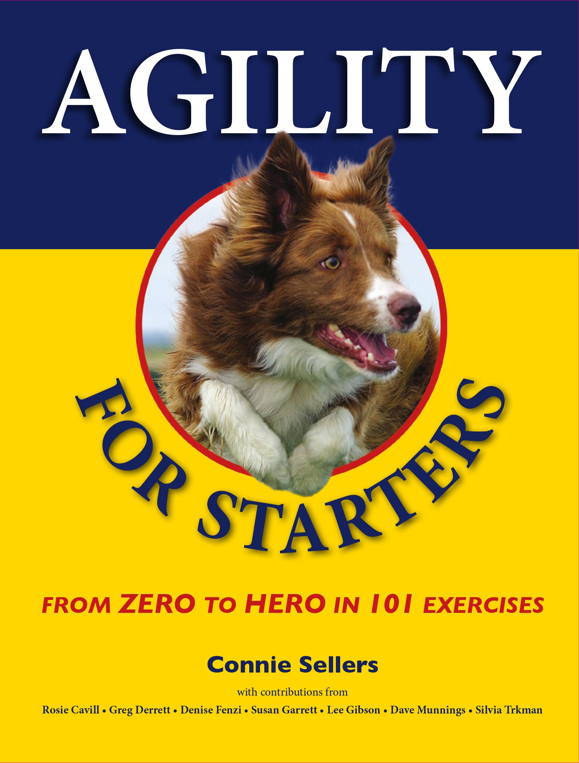 Agility for Starters: From Zero to Hero in 101 Exercises Paperback –  December 1, 2016