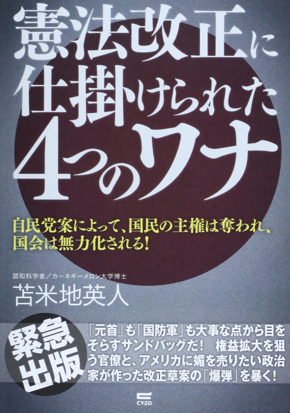 特集 自民党の憲法改正草案の正体 Iwj Independent Web Journal