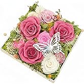 HipTree Preserved Pink & White Rose with Butterfly - Forever Eternal Real Austin Rose Gifts for Women, Valentine’s Day Mother’s Day Birthday Christmas Wedding Anniversary for Mom Wife Girlfriend