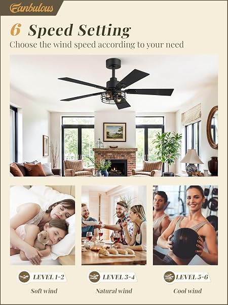 FANBULOUS 2 PACK FARMHOUSE 42 INCH CEILING FANS WITH LIGHTS, BLACK INDUSTRIAL CAGED CEILING FANS FOR BEDROOM LIVING ROOM, DOUBLE-SIDED 5 BLADES RUSTIC CEILING FAN