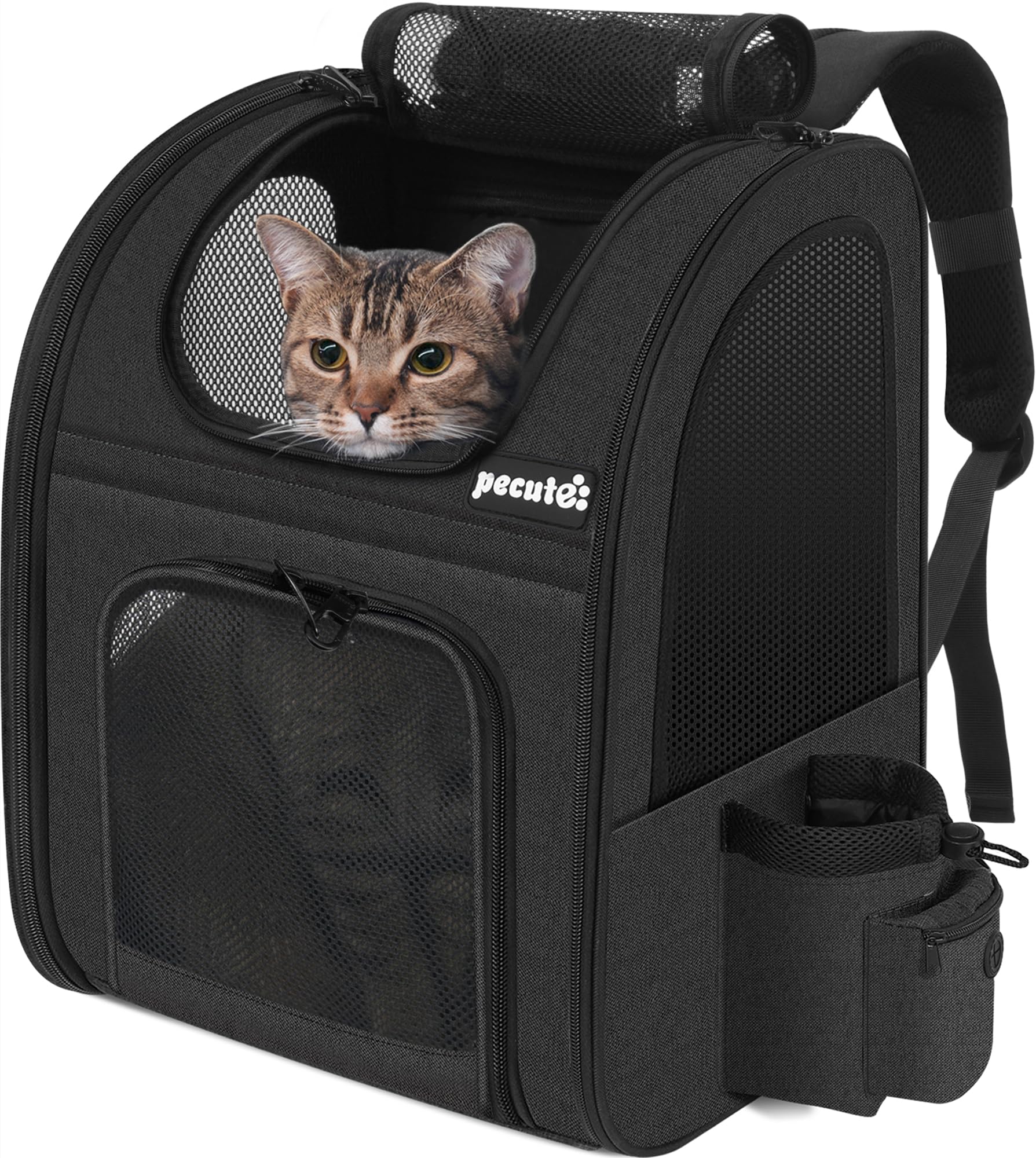 pecute Cat Carrier Dog Backpack, Portable Breathable Cat Backpack with Front Opening, Mesh Window and Pockets, Airy Space Great For Carrying Puppy Dogs Cats to Travel, Black — image 1