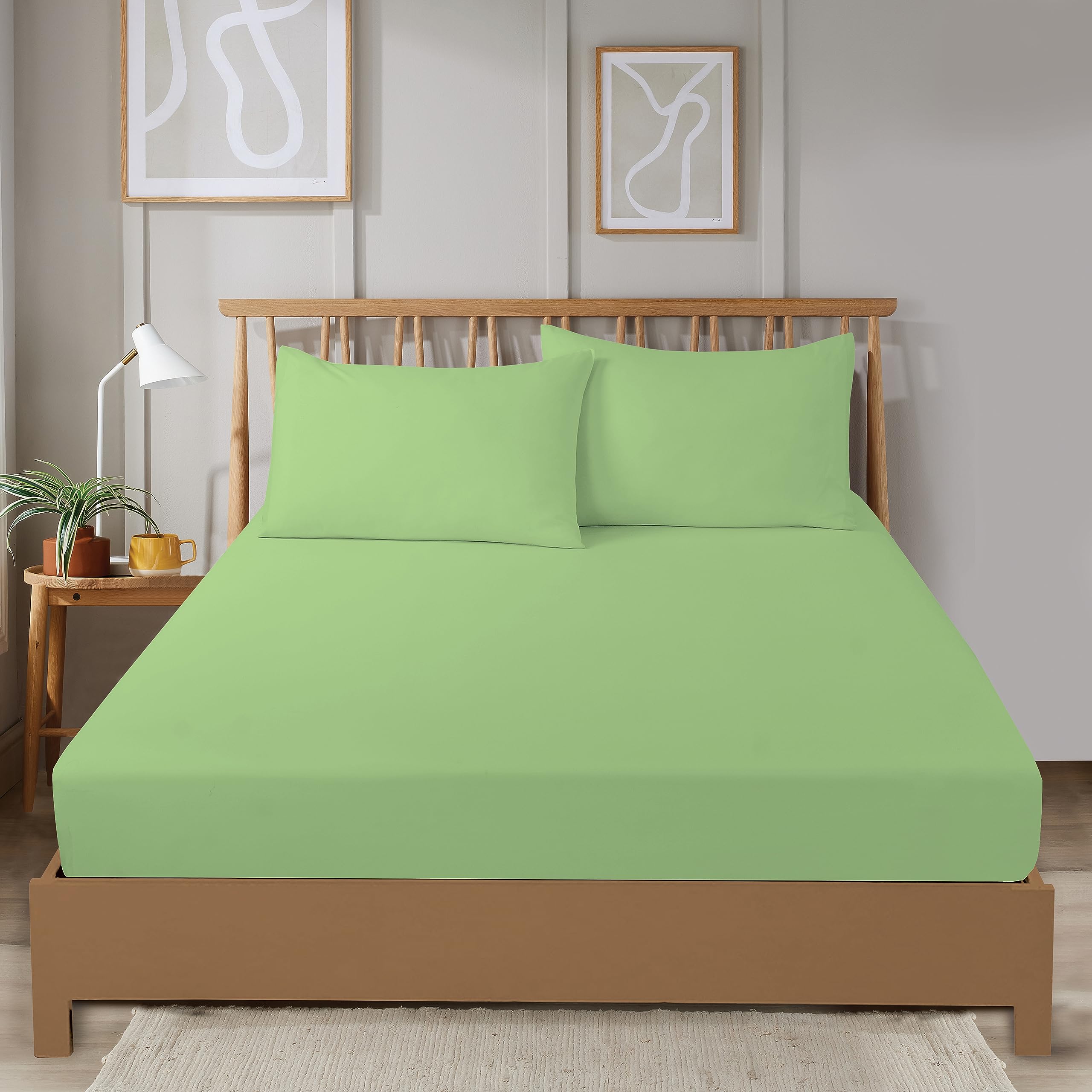 Olivia Rocco Super Soft Plain Dye Fitted Sheets Bedding BedSheets Durable Easy Care Thermal Warm Cosy Bed Linen Luxurious Comfort and Long Lasting Quality 30cm Deep, KING SAGE GREEN