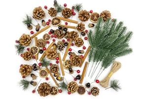 Apragaz 260 Pcs Christmas Wreath Making Supplies with Natural Pinecones Red Berries Artificial Pine Branches Dry Lemon Slices Cinnamon Stick Garland Bulk for Xmas Tree, Wreath, Holiday Crafts